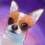 chihuahua-portrait-with-pattern-overlay
